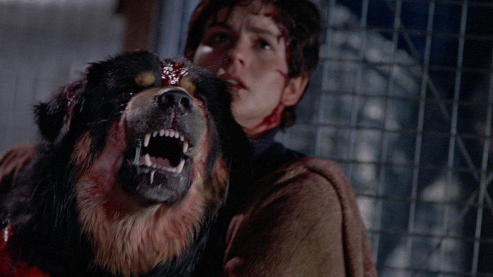 horror movies with dogs